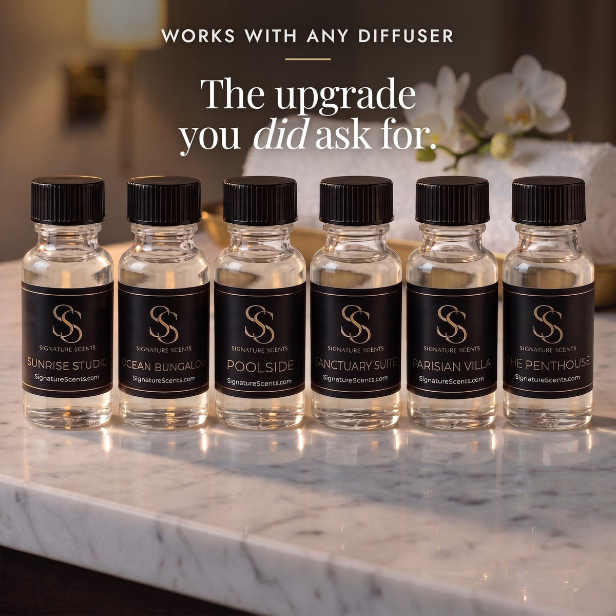 Hotel-Inspired Discovery Set
