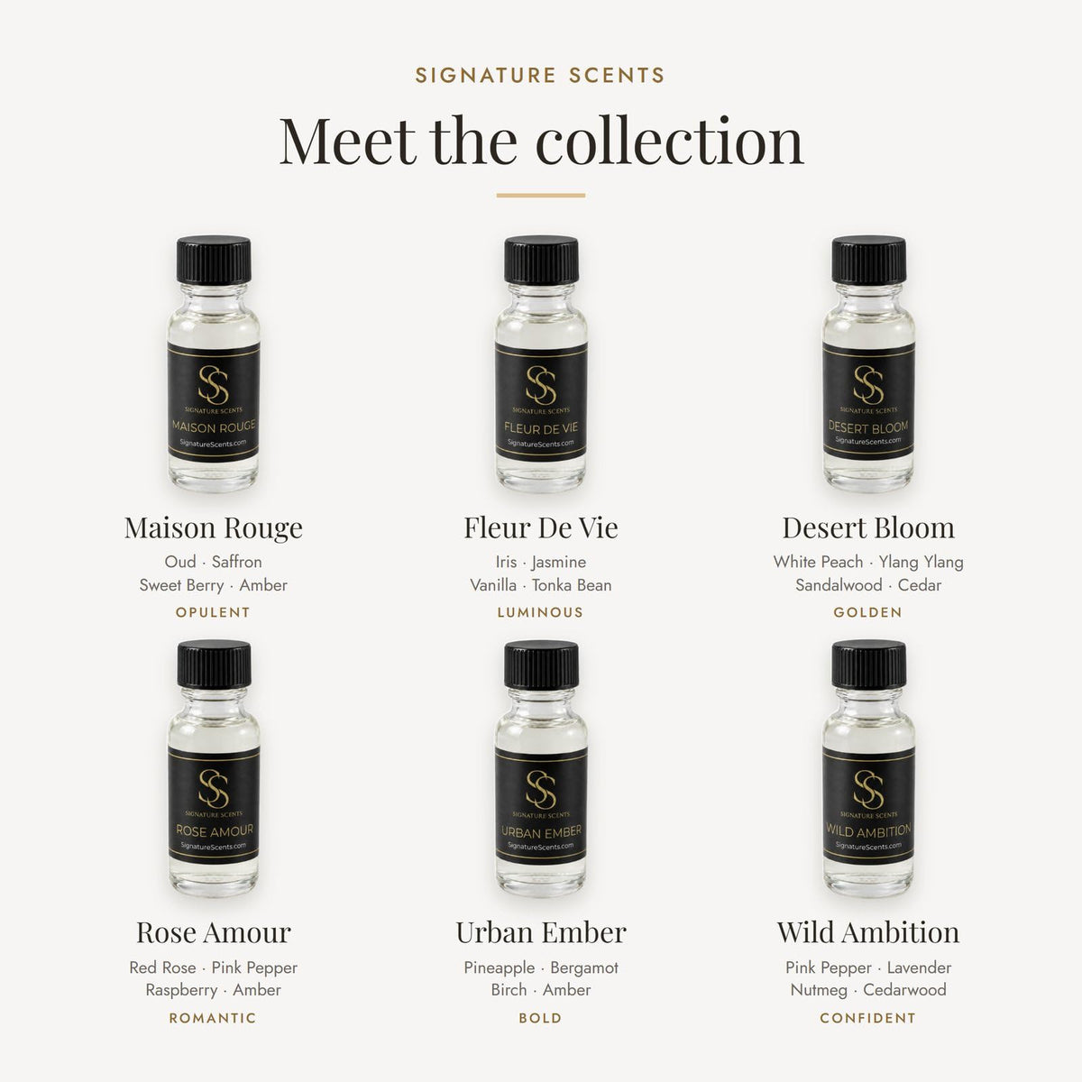 Luxury Perfume Discovery Set