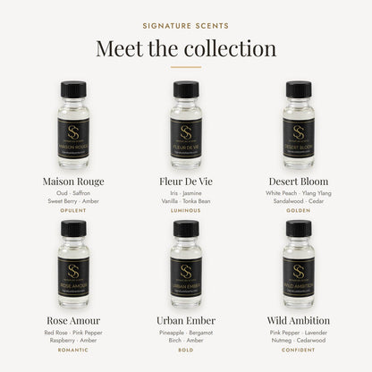 Luxury Perfume Discovery Set