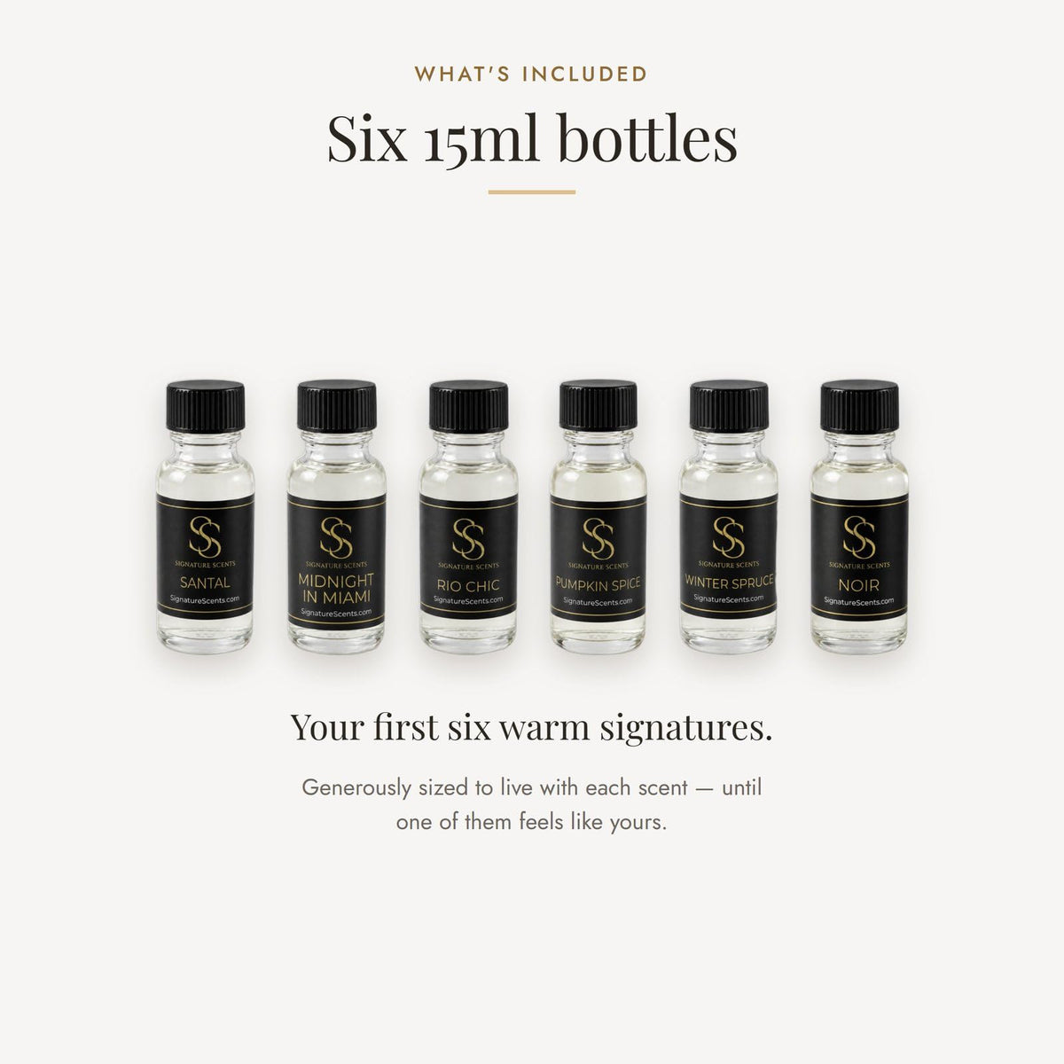 Sophisticated & Warm Discovery Set