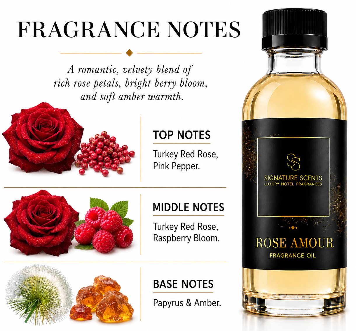 Rosa Amor